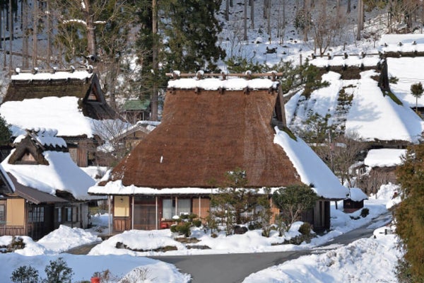 <京都>京都丹波の老舗料亭「八光館」で食す冬の贅沢「上かに御膳」と「美山かやぶきの里」冬景色【垂水・名谷・西鈴蘭台出発】2